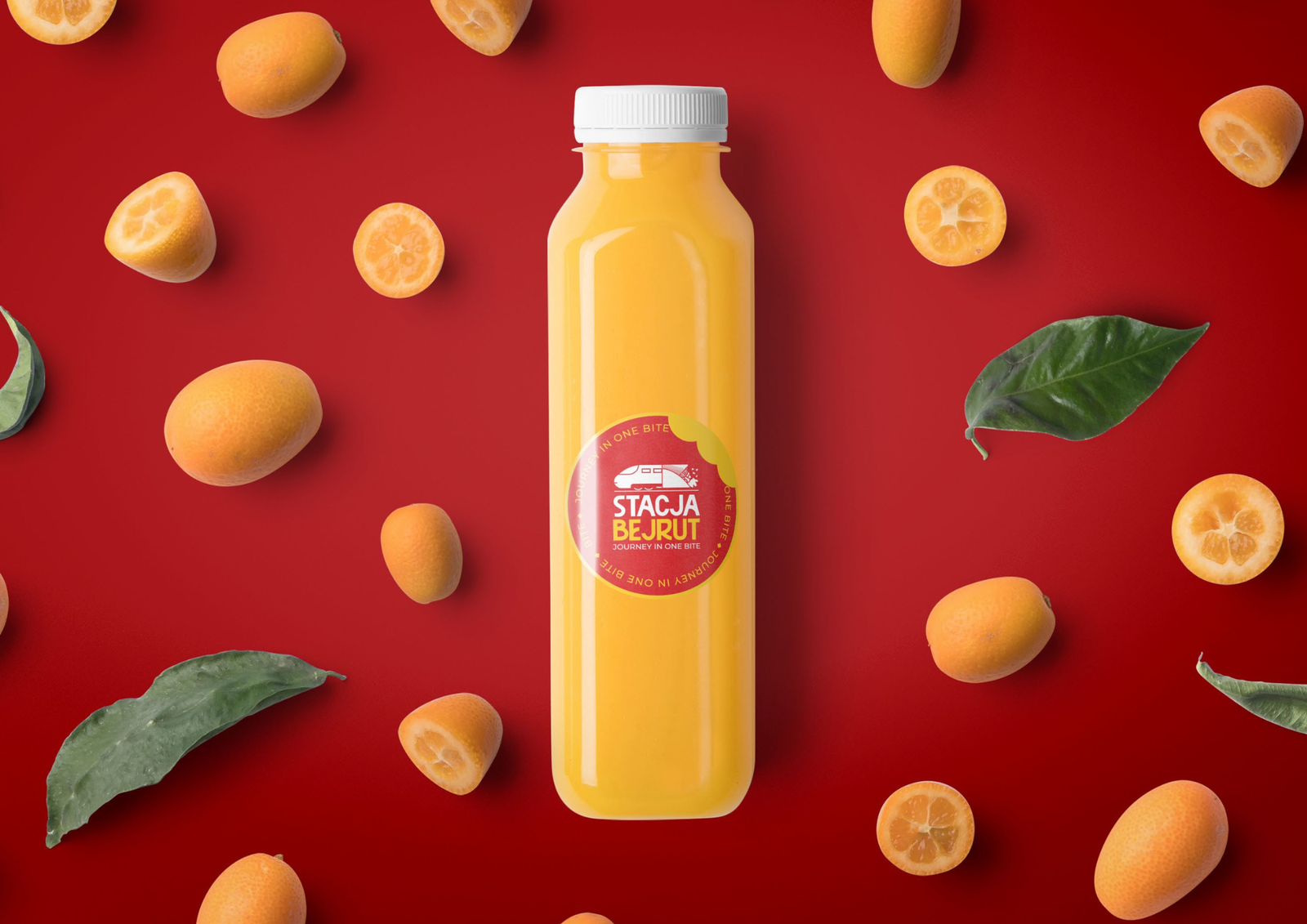 stacjabejrut.pl-home-page-poland01